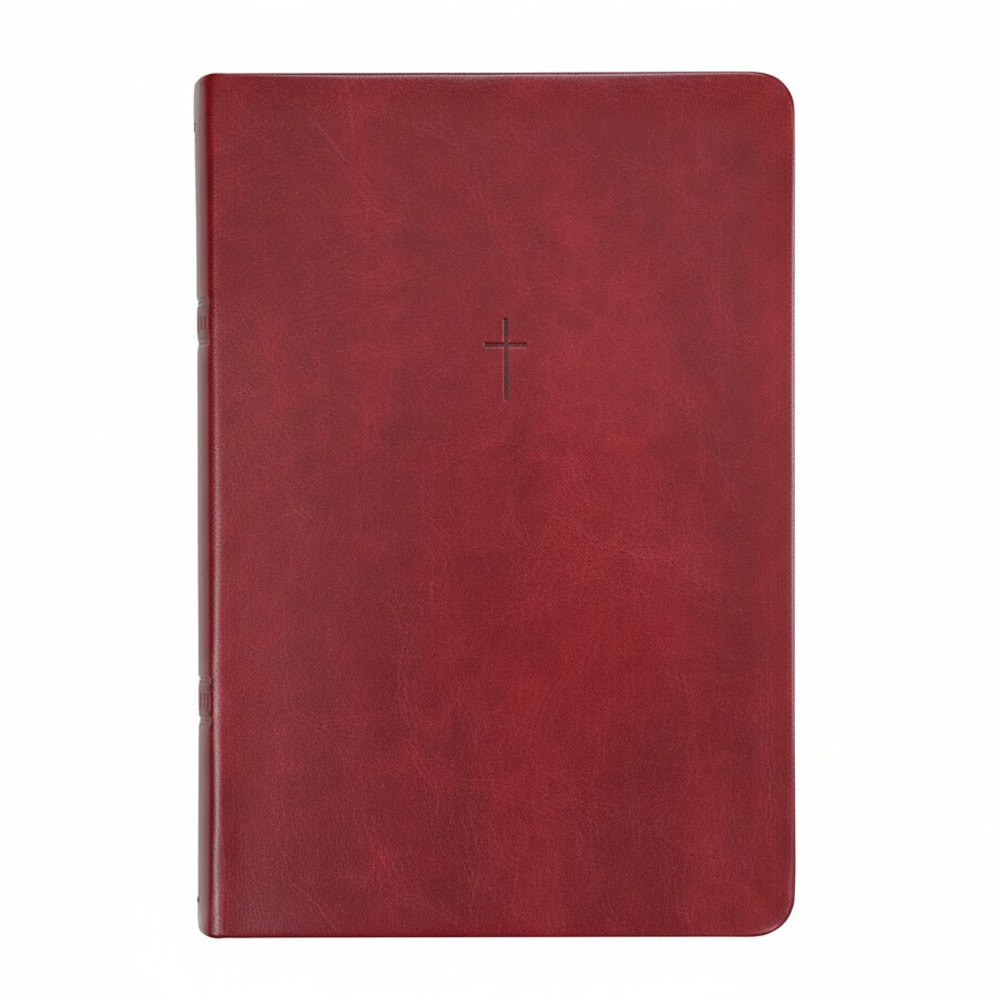 Bíblia Sagrada | NAA | Letra Grande | Vinho em Oferta na Shopee