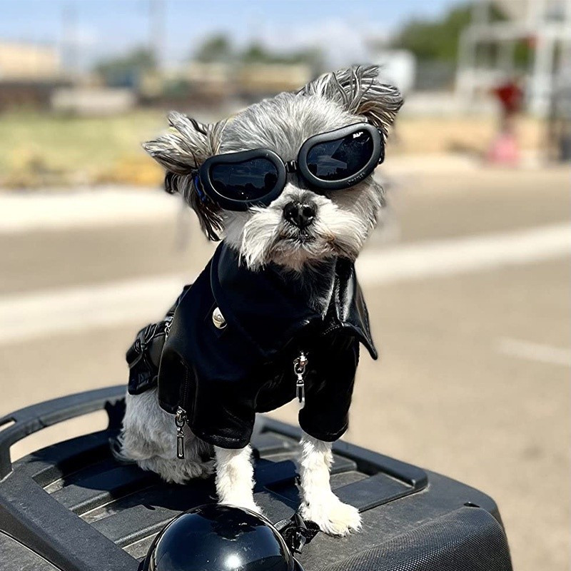 Óculos De Sol Ajustáveis Para Cães De Estimação Anti-UV Gatos Suprimentos Shih Tzu Dog Proteção Contra O Vento Cachorros