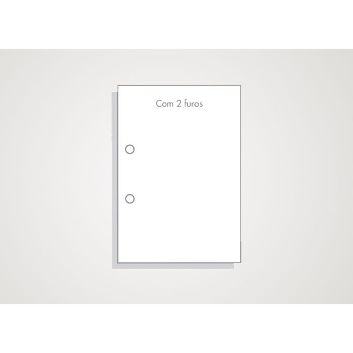 100 Sacos Envelopes Plásticos Transparentes 2 Furos  A4 Para Fichário Registrador Pasta Catálogo Grampo