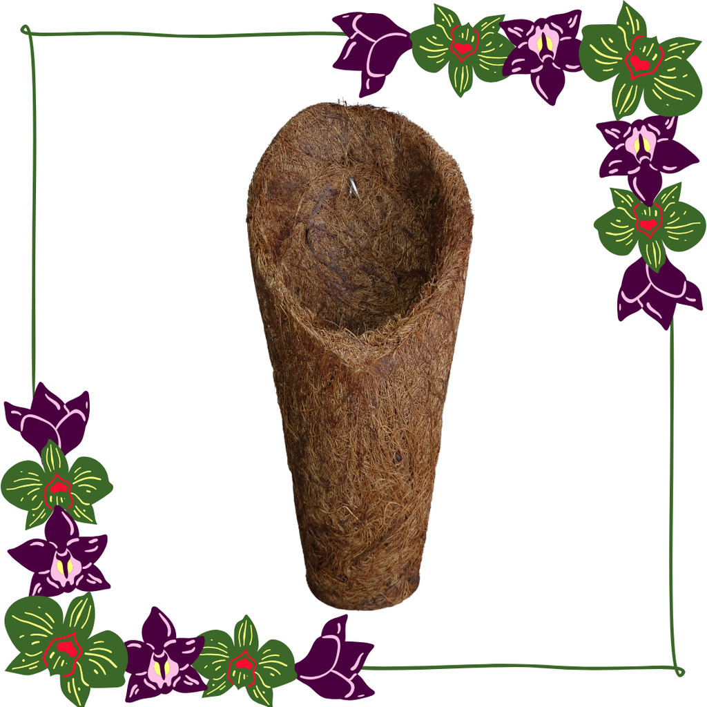 Vaso Cachepot Para Orquídeas Fibra de Coco Modelo Concha Tamanho M (Médio) em Oferta na Shopee