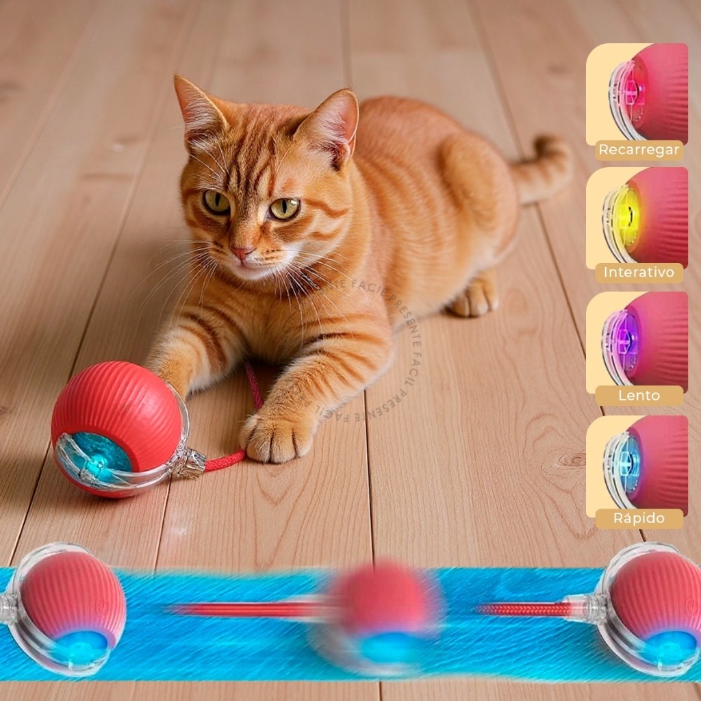 Bola de Rolamento Automática Brinquedo Elétrico Interativa Para Gatos Cães Recarregá gatovel Cauda Falsa