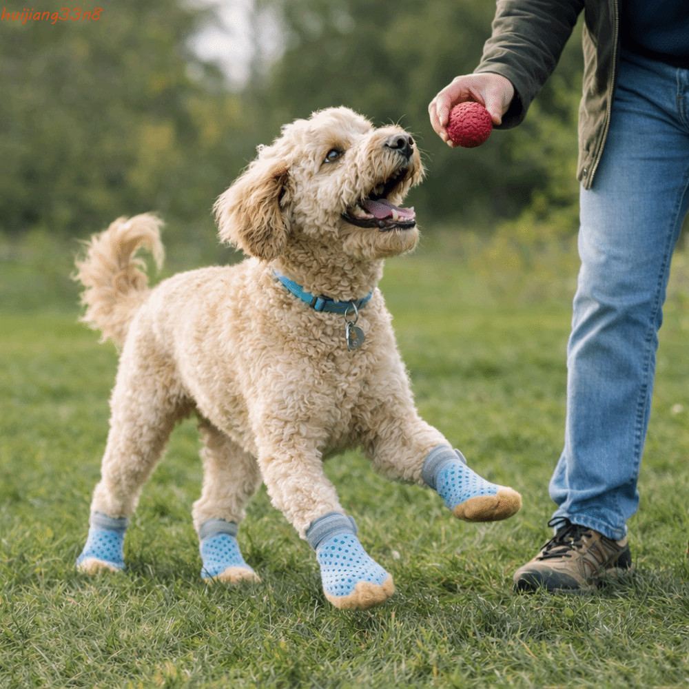 Sapatos De Malha Para Cães HUIJIANG , Antiderrapantes Resistentes Ao Desgaste Ajustáveis , Protetor Confortável Animais 
