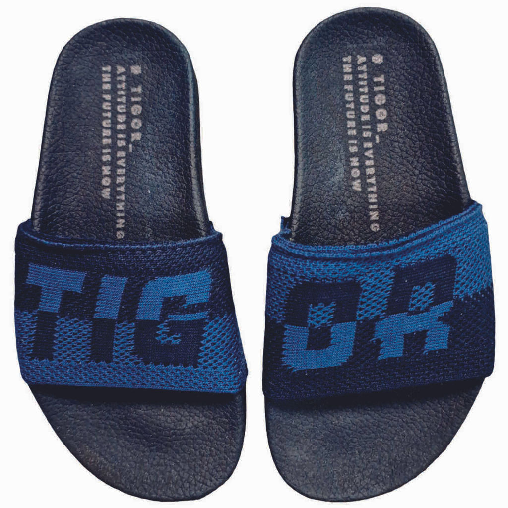 Chinelo Slide Infantil Masculino Tigor T. Tigre em Oferta na Shopee