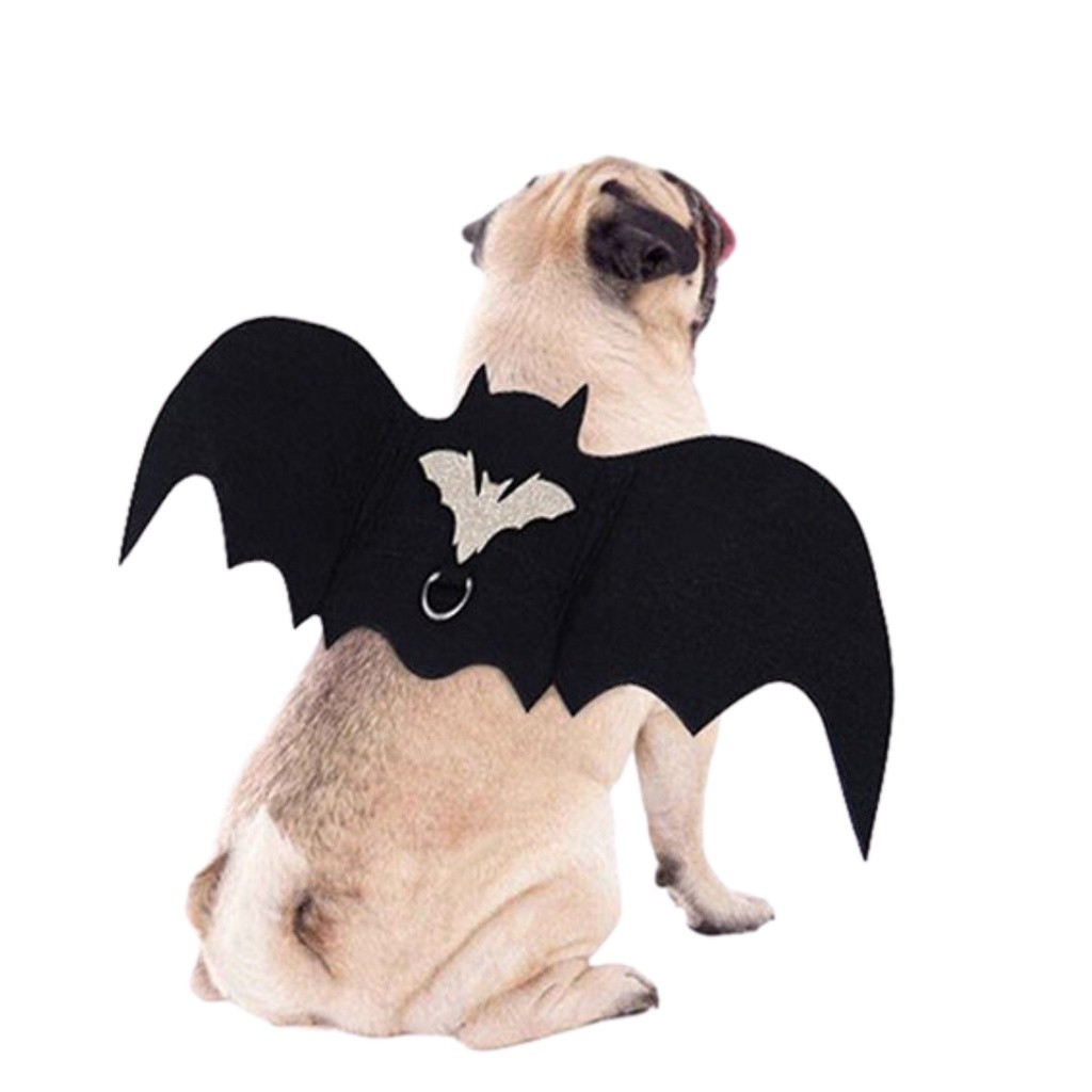 Fantasia Asa De Morcego Com Guia Para Pet Gato Cachorro Cat Dog Halloween Dia das Bruxas Carnaval Festa Fantasia