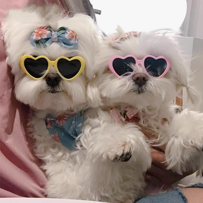 Óculos de sol para cães e gatos, decorações de verão em formato de coração, adereços engraçados para fotos, Bichon, luta
