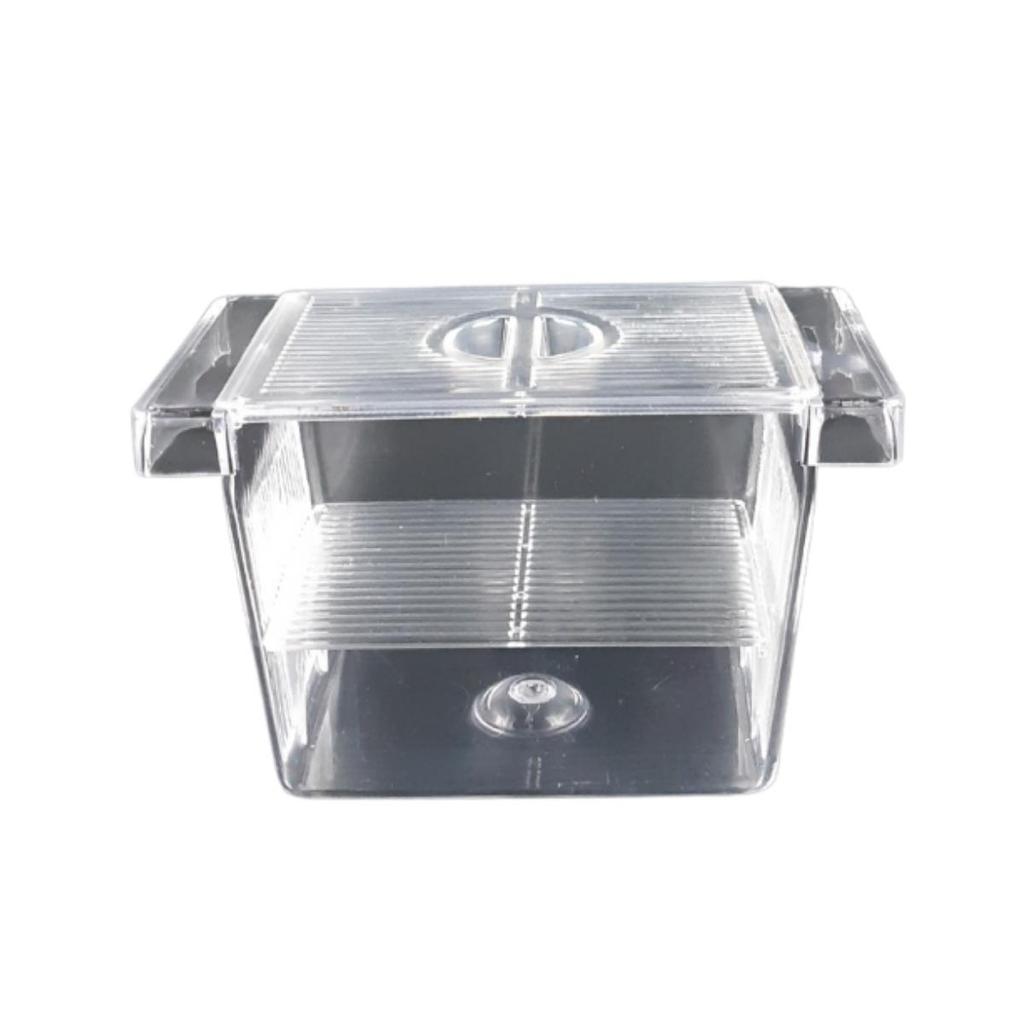 Reprodutor CH-01 Peixes Aquario Lebiste Guppy Espadinha
