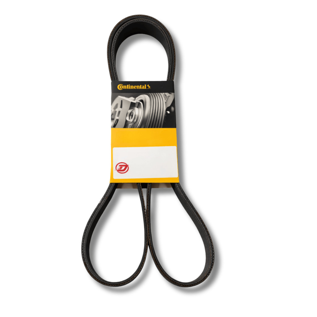 Correia Alternador Continental | Sc Mbb JD