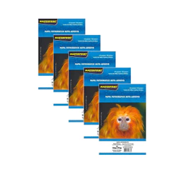 Papel Fotográfico 130g Adesivo Glossy (Brilhante) A4 - MASTERPRINT