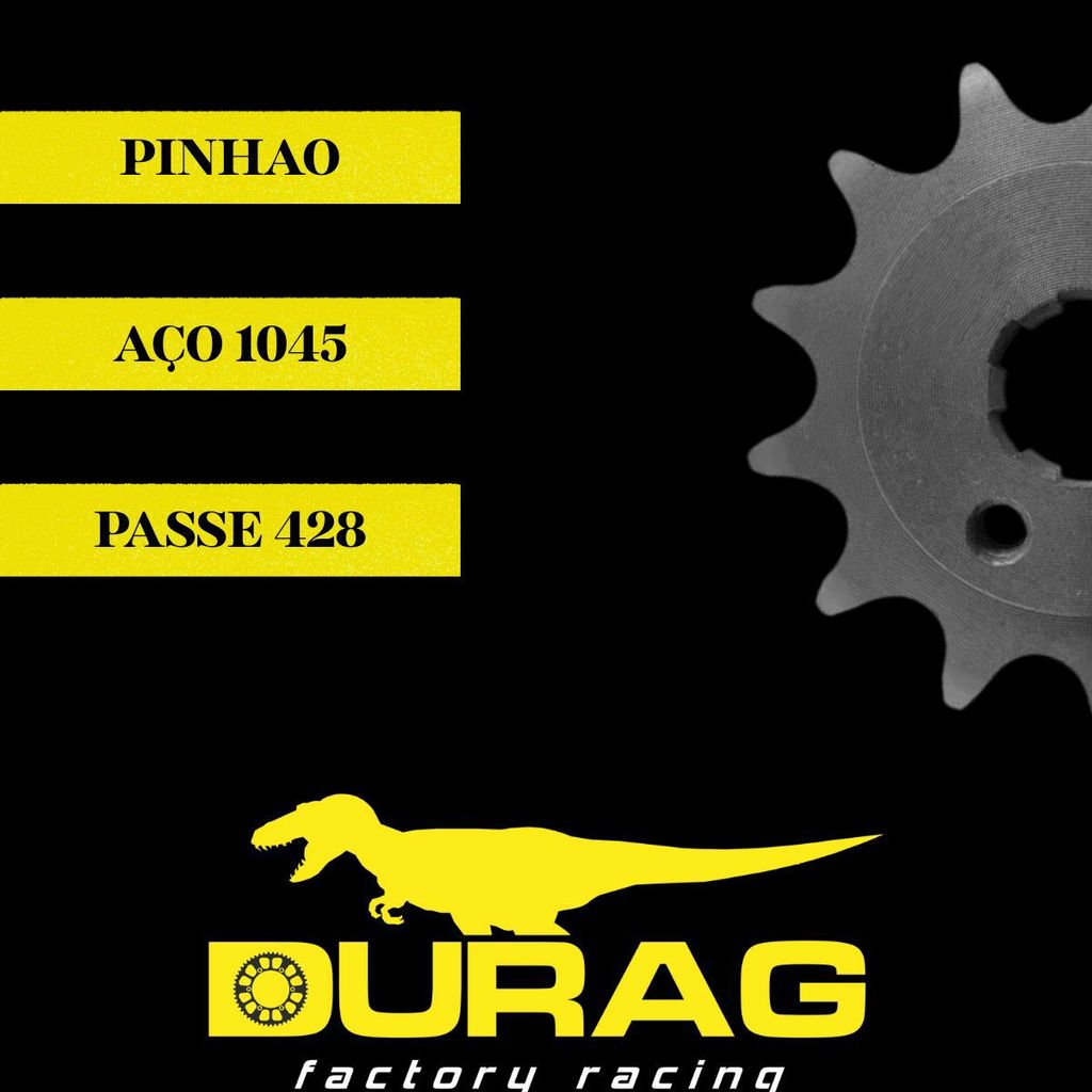 Pinhao 13 Dentes Gsr 125 150 Ybr Factor Xtz 125 Dr160 Durag — imagem 2 de 2