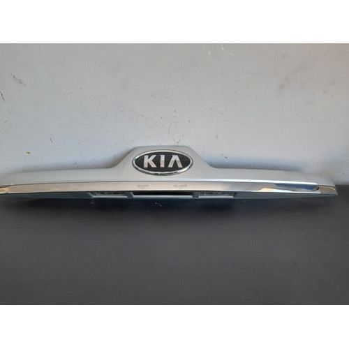 Moldura Luz De Placa Kia Sportage 2005 À 2010