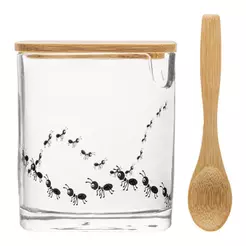 Açucareiro de Vidro com Tampa e Colher de Bambu New Bug Lyor Porta Açúcar Estampa Divertida Fofa Mesa Posta Café Cozinha