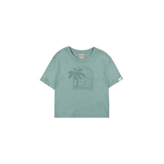 Camiseta Infantil Menino Estampa Praia Colorittá Verde em Oferta na Shopee