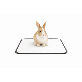 Tapete Pet Lavável Reutilizável Para Coelhos 60x80 Cm 2 Un em Oferta na Shopee
