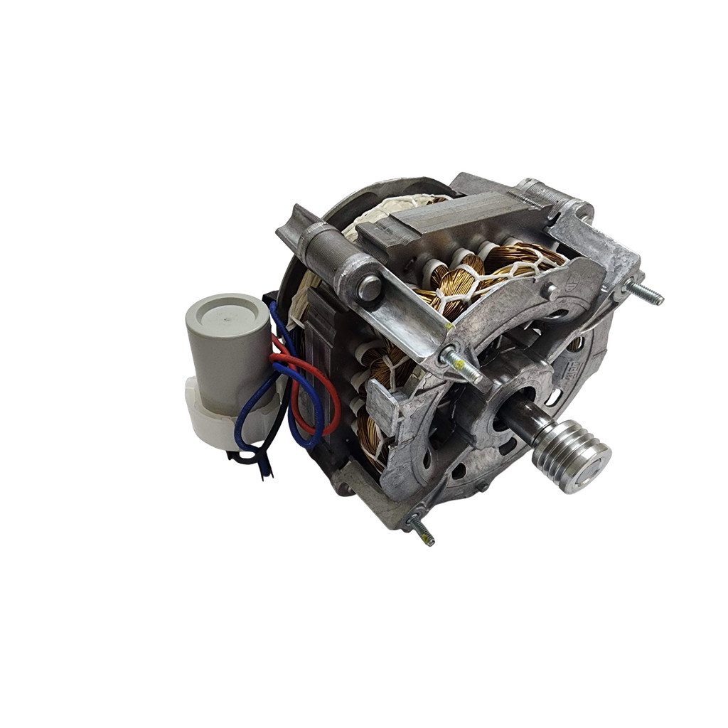 Motor Lavadora Roupas Wanke Lis Mariana Barbara LWBE LWLI 127v Original