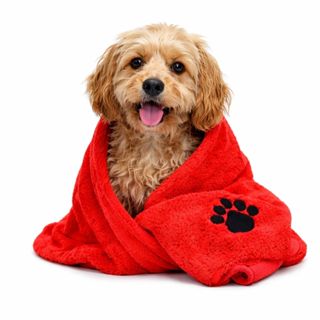 Toalha de Banho para Cachorro Gato Pet Bordado Microfibra Manta Cobertor em Oferta na Shopee