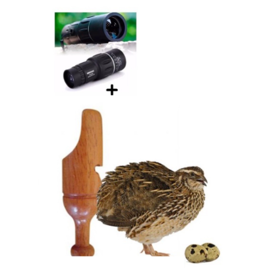 Apito Madeira Codorna 28 + Luneta Observação De Aves