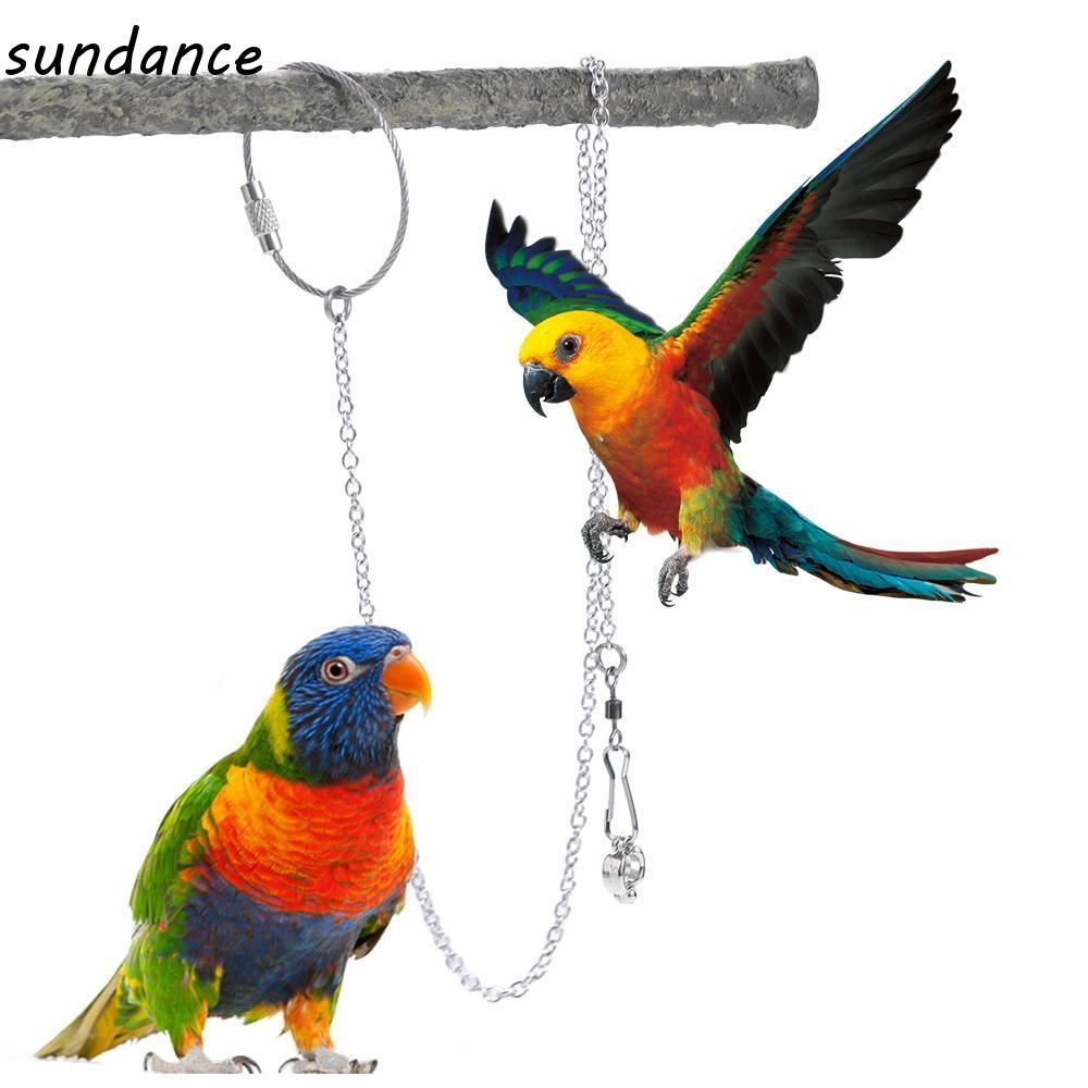 SUNDANCE Papagaio Pé Anel Seguro Prata Ao Ar Livre Starling Pombo Calopsita Pássaro Suporte Tornozelo em Oferta na Shopee