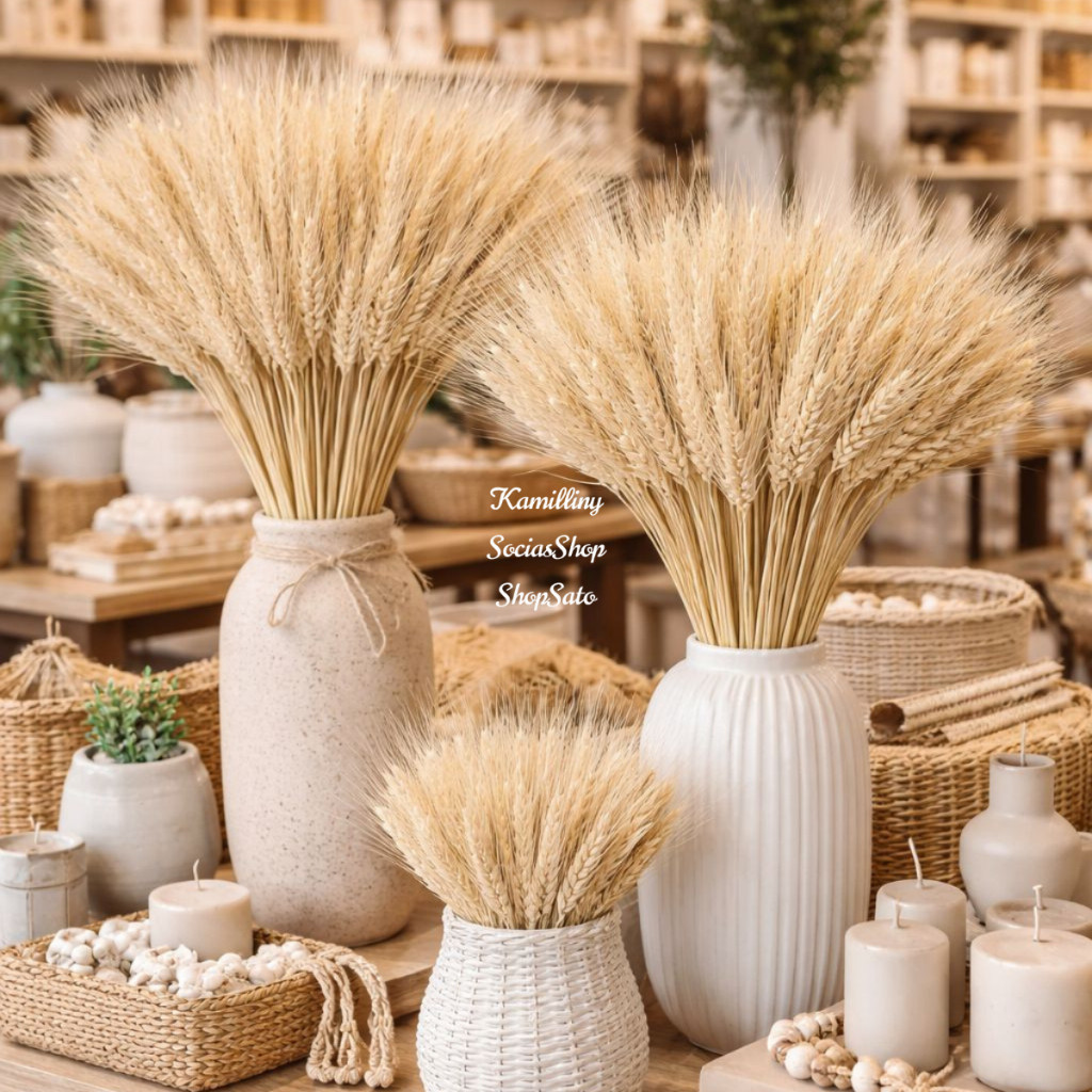 25 Haste De Trigos Secos 40cm Decoração De Mesas- Arranjos, Flores Desidratadas, Vaso Decorativo em Oferta na Shopee