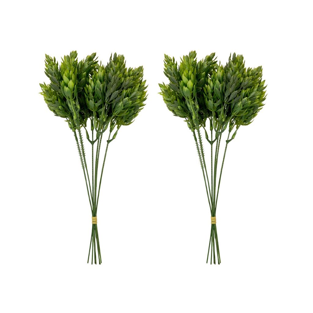 2 Buques De Folhagens De Lúpulo Plantas Decoração Da Sala