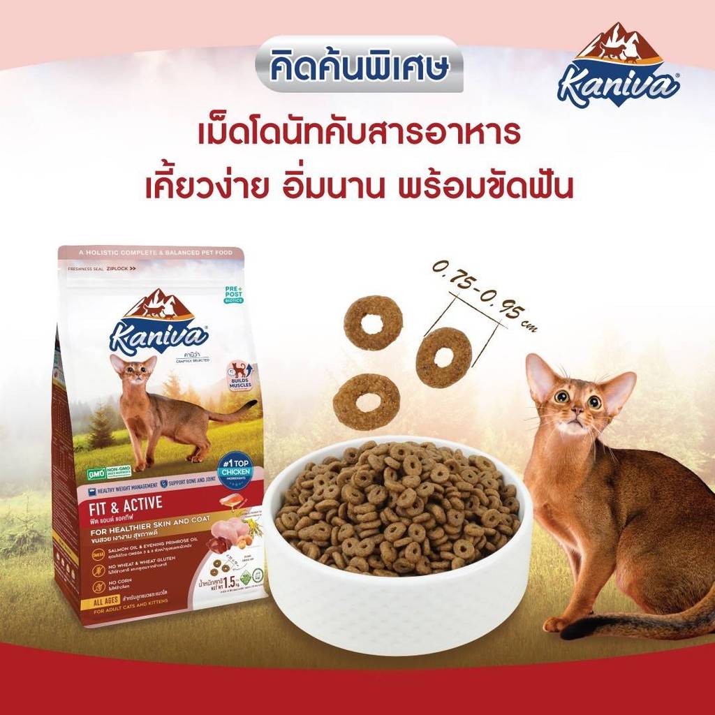 Kaniva คานิว่า อาหารเม็ดแมว เกรดพรีเมี่ยม สำหรับแมวทุกช่วงวัย ครบสูตร ขนาด 340-400g - ภาพที่ 4