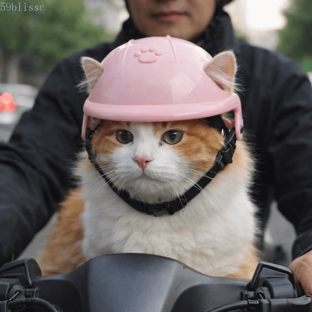 Capacete Para Animais De Estimação BLISSC , Arnês De Segurança Cães Com Tapete De Esponja Ajustável , Protetor De Locomo