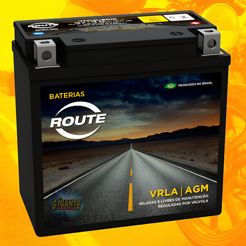 Bateria Moto Harley Davidson Xl Xlh Sportster 883 1200 Route YTX14LBSHD 12v 12Ah AGM Selada
