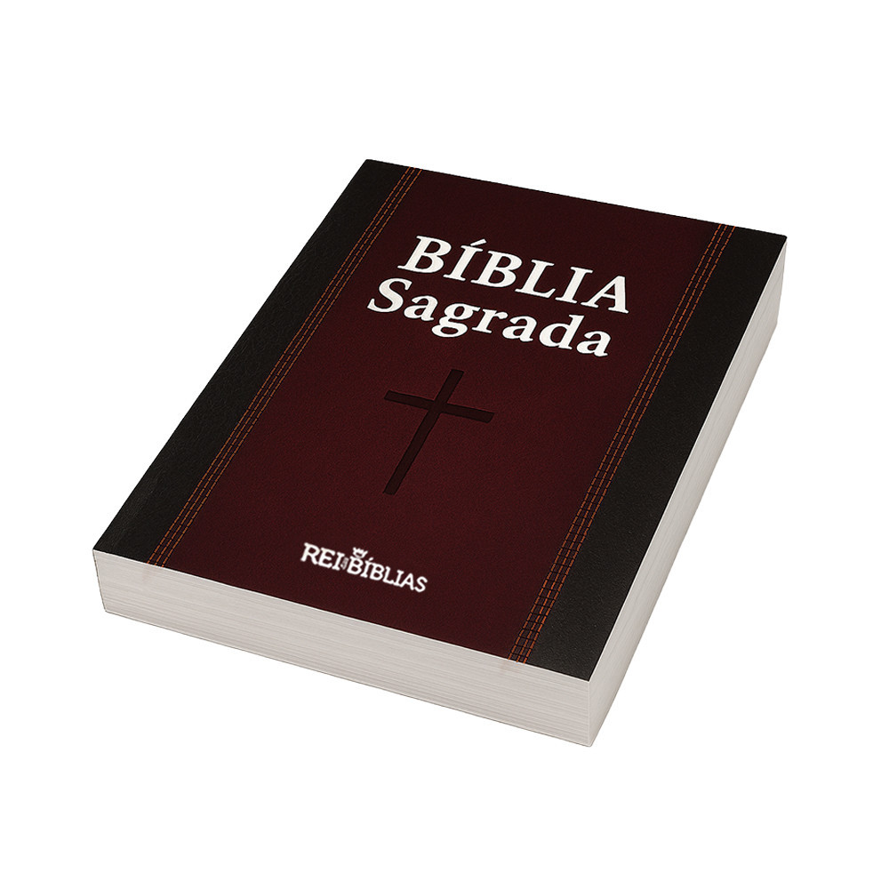 Kit 10 Biblias Sagrada Para Evangelismo - Ed. Promessas - Tradicional