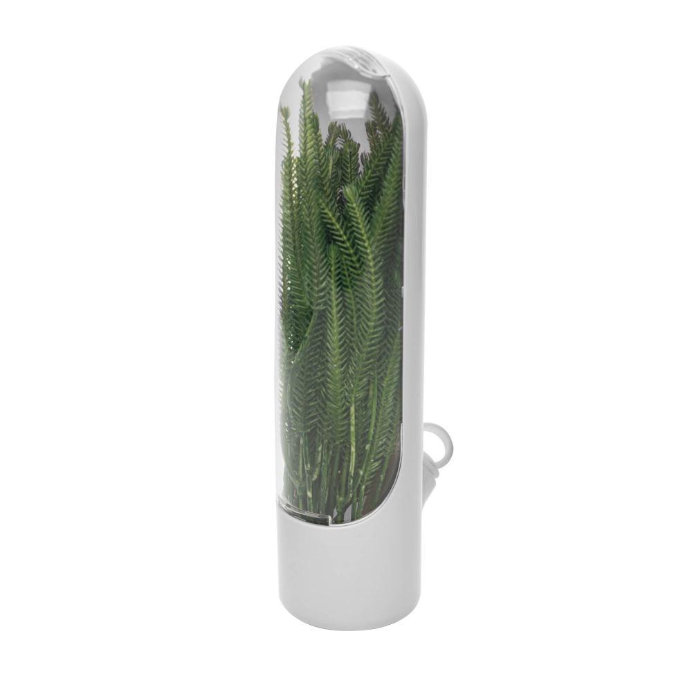 Pote Conservador de Ervas e Temperos Frescos 25cm Branco Plástico Lyor para Cozinha Organização Práticos Uso Diário Casa