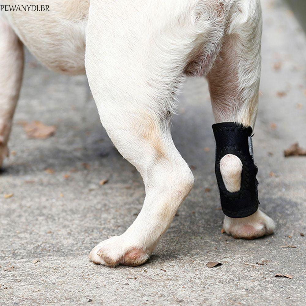 PEWANYDI Joelheiras Para Animais De Estimação Bandagem De Recuperação Conjunta Cães Pequenos , Médios E Grandes Envoltór