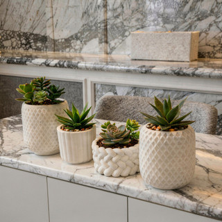 Kit 4 Vaso de Plantas Suculentas Vaso Decorativo em Gesso para e Cactos Decoração Sala Pe…