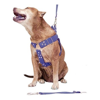 Coleira Peitoral Cachorro Guia Adaptador Doberman Pit Bull