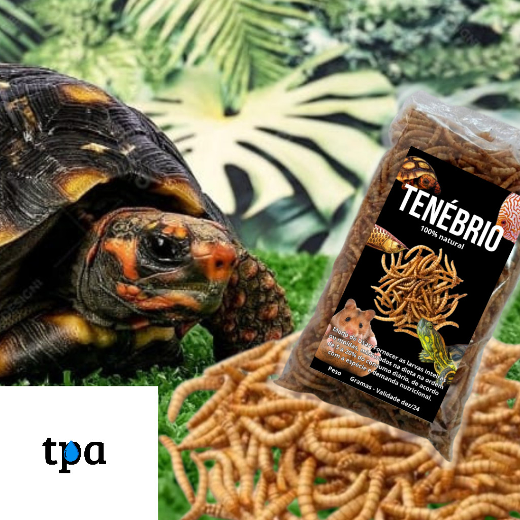 Tenebrio para Jabutis, Tartarugas e peixes, Rico em Cálcio - 100% Natural em Oferta na Shopee