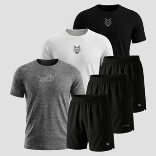 Kit 6 Peças Dry 3 Camisetas e 3 Bermudas Alpha Co em Oferta na Shopee