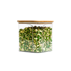 Pote acrílico 900ml com tampa bambu hermético quadrado - Tüd