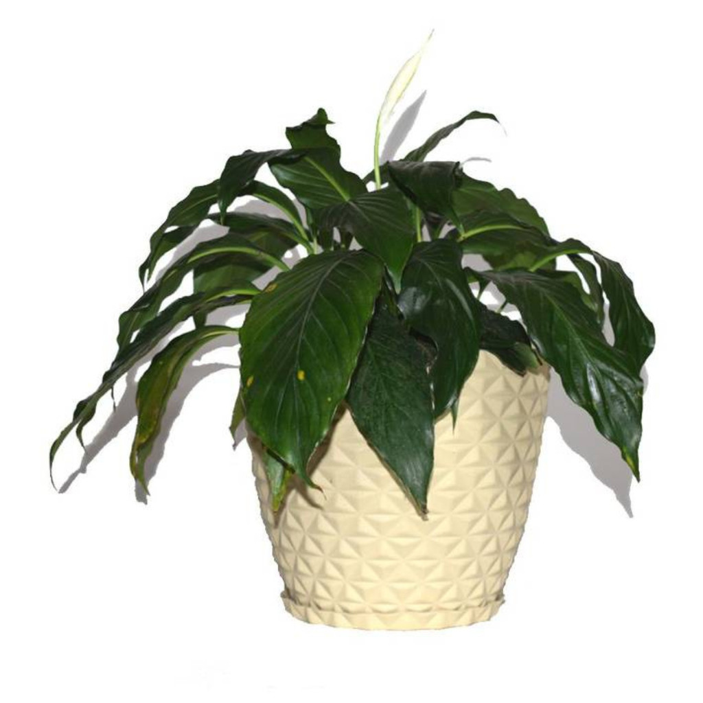 Vaso Polietileno para Plantas Jardim Sala Luxo Coluna Bojo Diamante 0 Bege