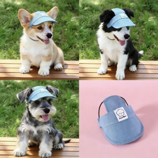 Chapéu Boné Para Pet Cachorro Fêmea Macho Ajustável de Tecido Gato em Tecido P M G Protege do Sol em Oferta na Shopee