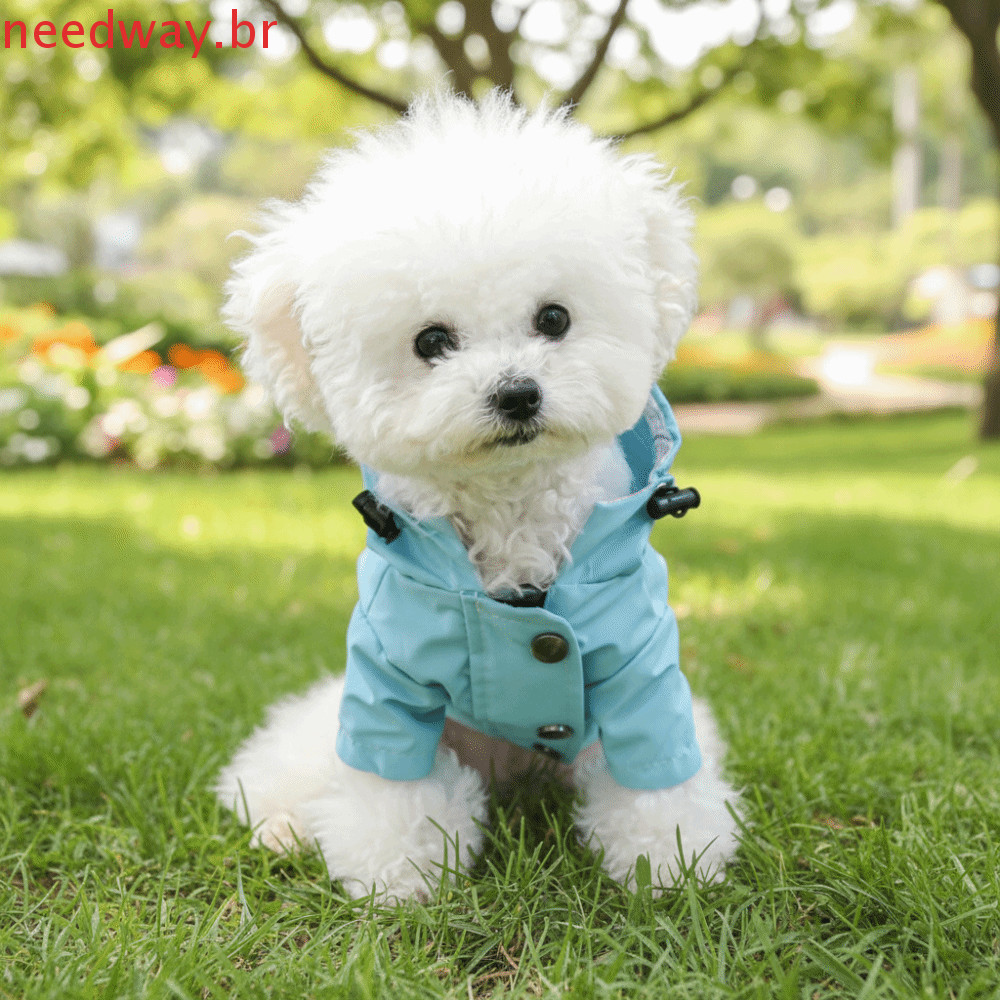 NEEDWAYB Capa De Chuva Com Capuz Para Cachorro , Roupas Impermeáveis Ajustáveis De Duas Pernas Cães , Casaco À Prova De 