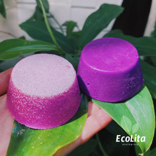 Xampu e Condicionador Sólidos Semente de Uva | Xô Ressecamento | Hidratação e Brilho | Vegano & Ecológico em Oferta na Shopee