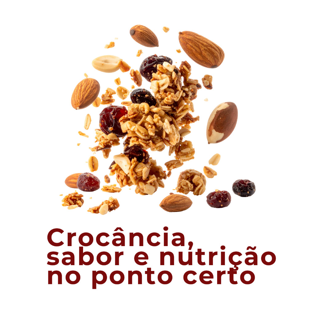 Mix Nuts Natural Premium 1 KG | Energia, Saúde e Crocância | 250g 500g 1kg | MIX DE CASTANHAS E FRUTAS SECAS COMPLETO