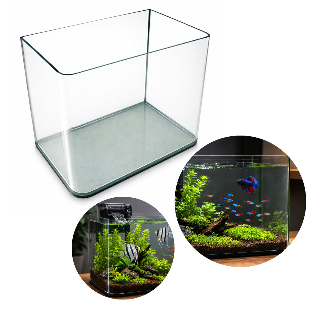 Aquario Beteira 5 Litros Curvo Betta Guppy Lebiste Acara