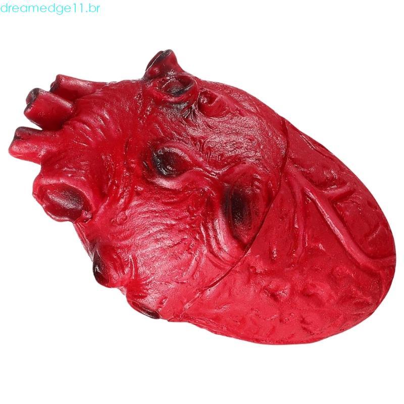dreamedge11 Adereços Coração Realista Para Decorações Halloween Eerie Modelo Aterrorizante Acess