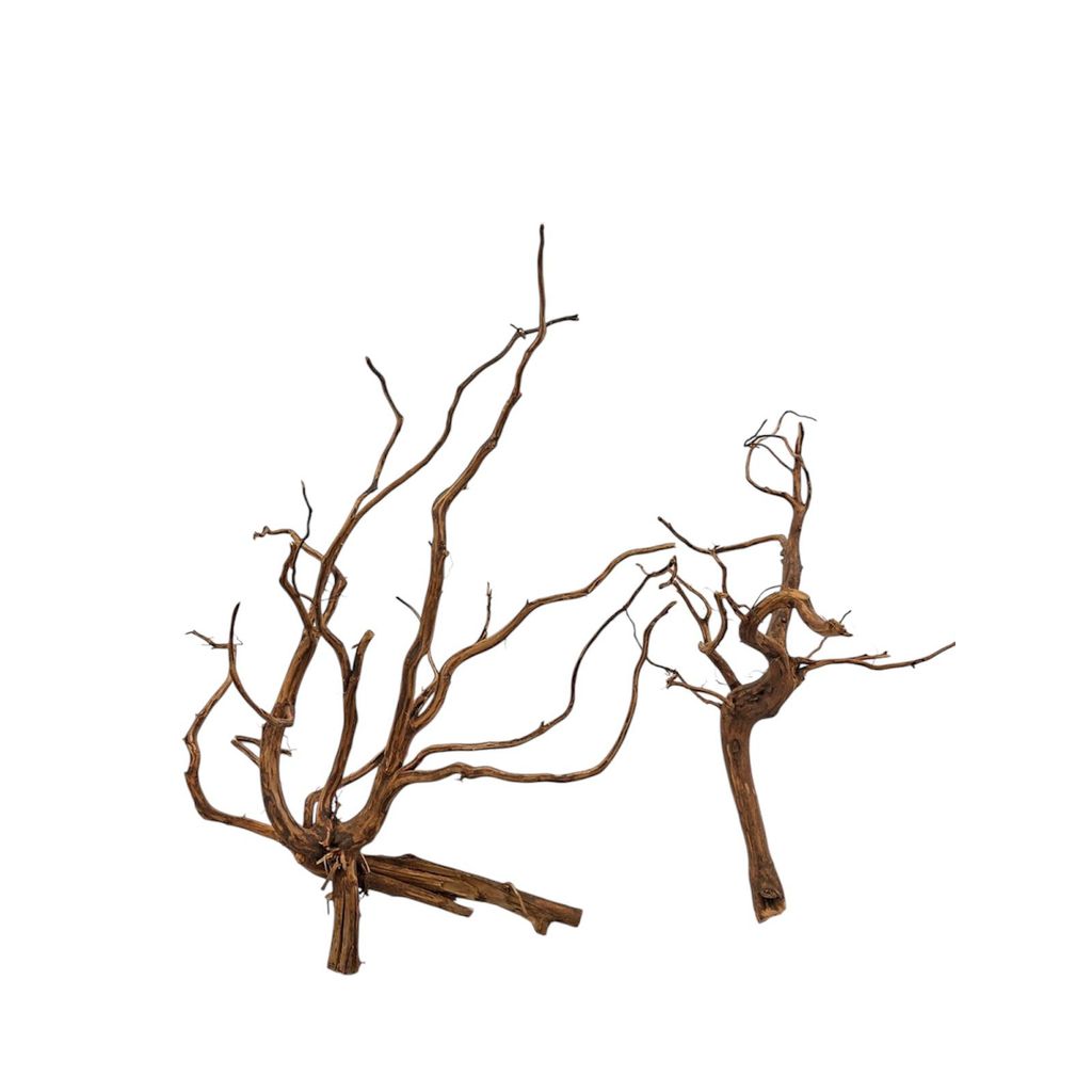 Raiz Natural Para Aquarios Brown Driftwood Pq De 15cm 20cm em Oferta na Shopee