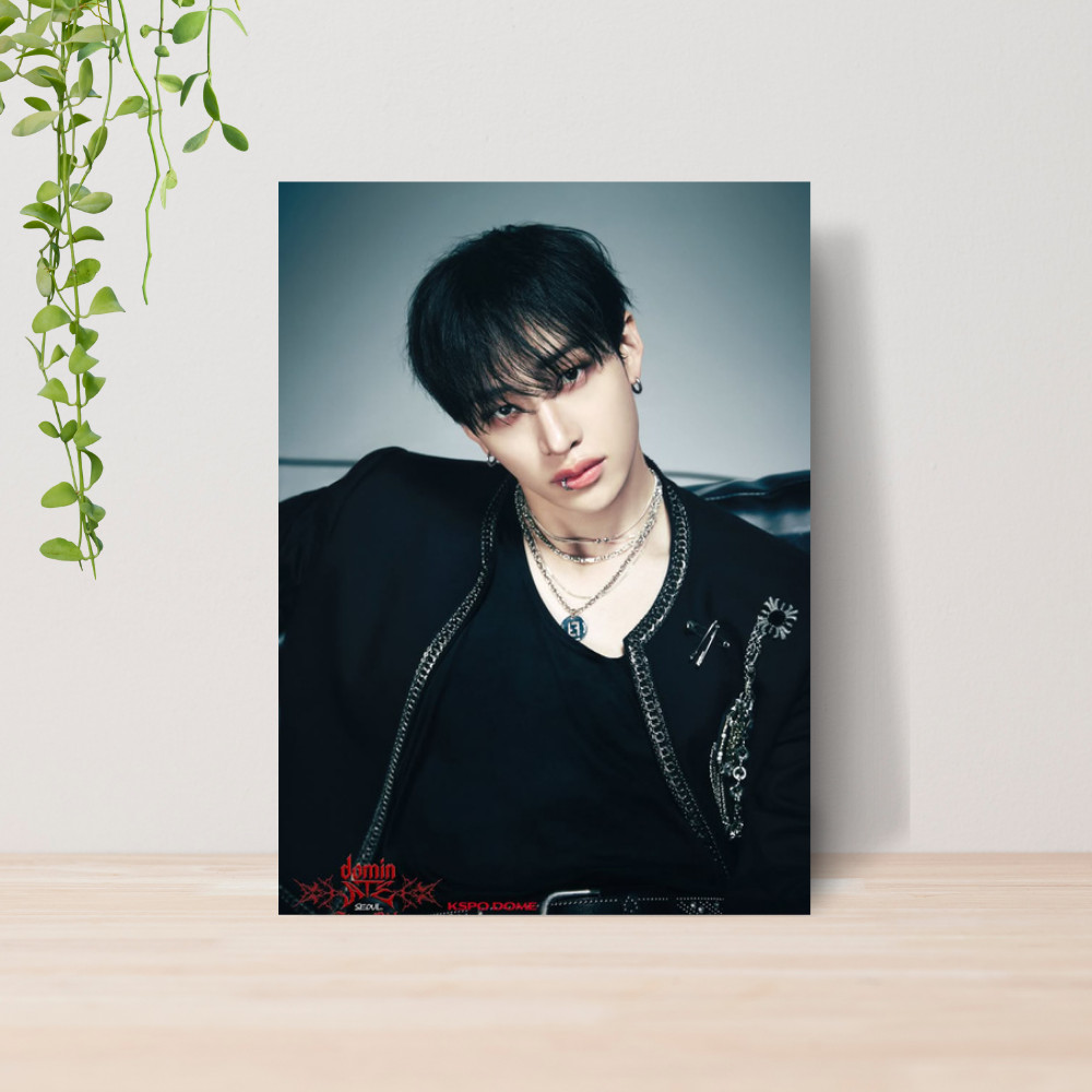 Quadro Decorativo Bang Chan Stray Kids Kpop Fã Poster Musical 04 | Placa 20x28