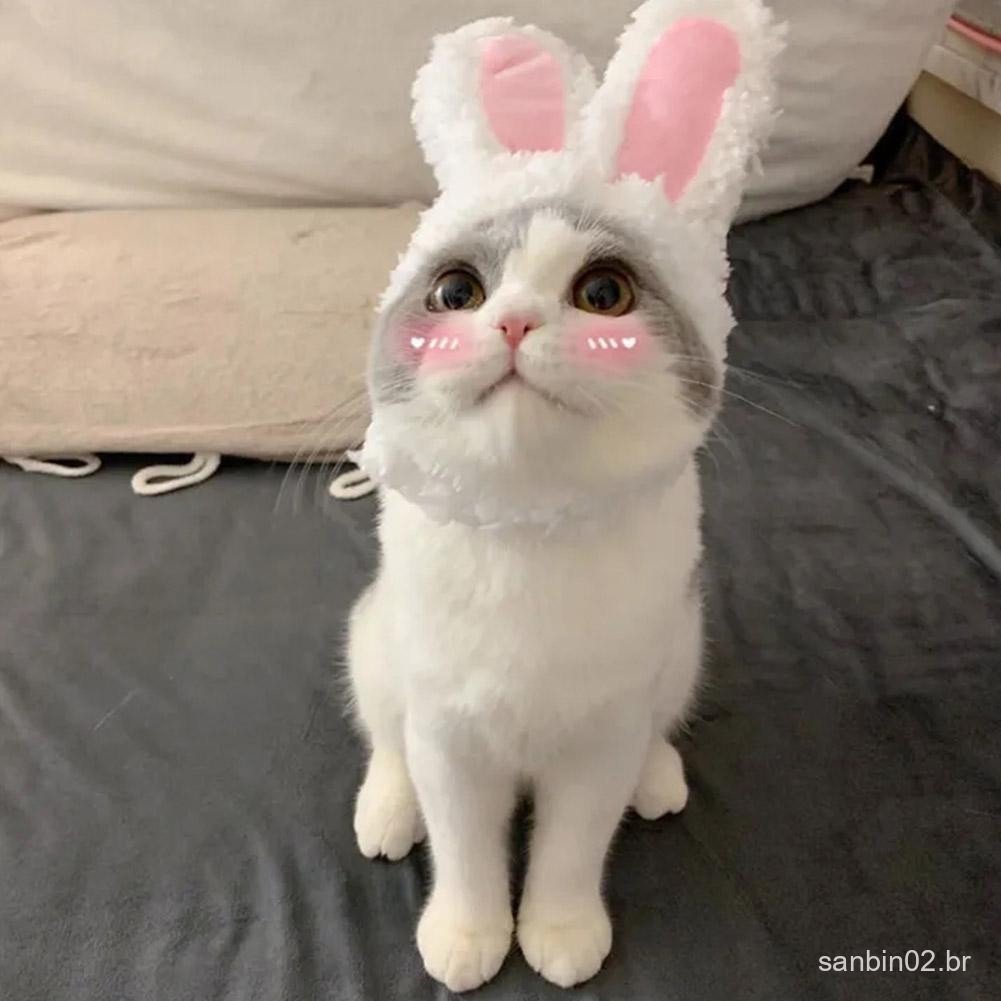 Doce Traje De Gato De Estimação Chapéu Coelho De Pelúcia Com Orelhas Para Gatos E Cães Pequenos Festa Z3e6 em Oferta na Shopee