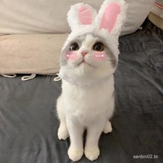 Doce Traje De Gato De Estimação Chapéu Coelho De Pelúcia Com Orelhas Para Gatos E Cães Pequenos Festa Z3e6 em Oferta na Shopee