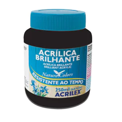 Tinta acrílica brilhante Preto 250ml 520 Acrilex