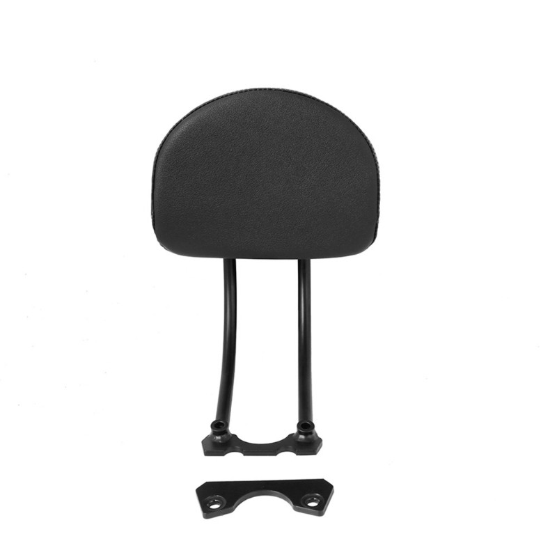 Estone Fácil Instalação Encosto Da Barra Do Passageiro Para S 1250 RH 1250 2021 Moto Modificado Acessórios Suporte Assen