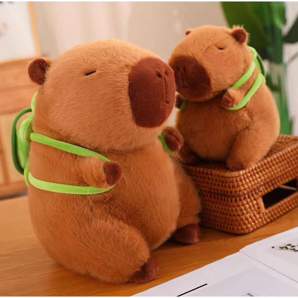 Capivara e Tartaruga Companheiras para Cura 22cm