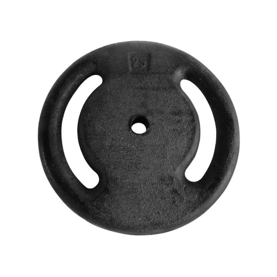 Anilha Ferro Fundido Pintada Fitness Academia 25 Kg