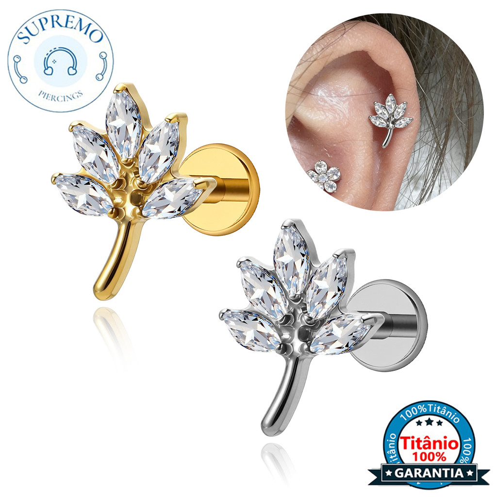 Piercing Brincos Titânio PVD Folhas Zircônias Cravejadas Com Conch Helix Lobulo Tragus Rook